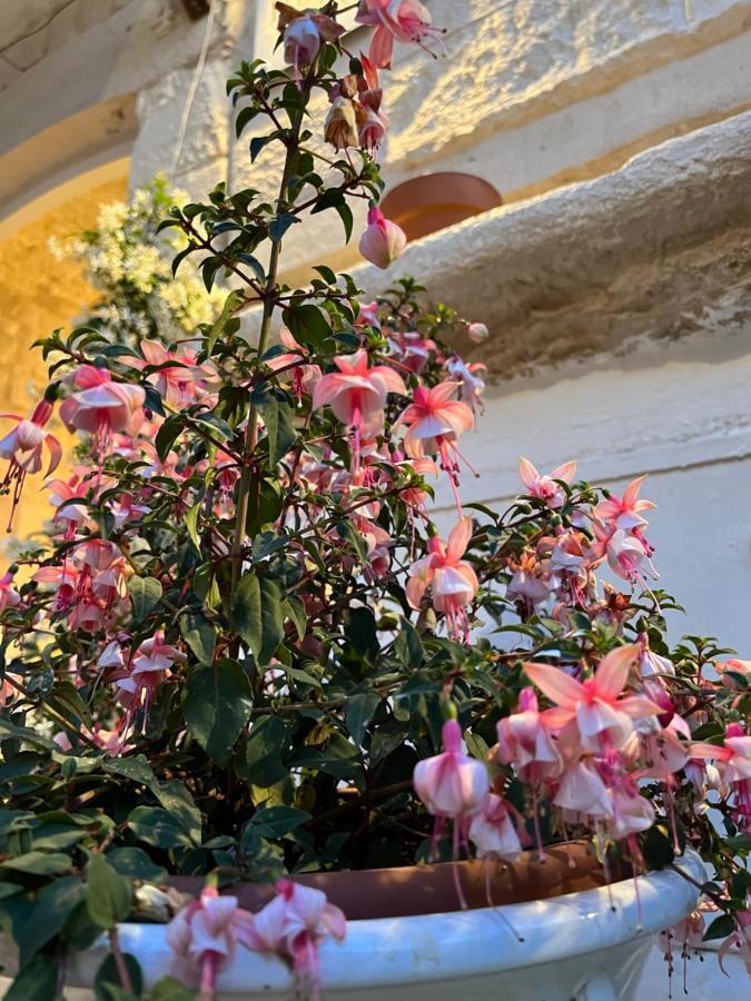 LosetoDimora Martina住宿加早餐旅馆 外观 照片